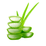 OnBeauty Ingrediente Activo Frambuesas